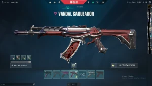 Conta Valorant -