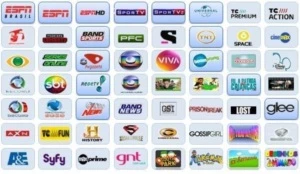 TV ONLINE + NETFLIX + DISNEY PLUS + AMAZON PRIME - Assinaturas e Premium