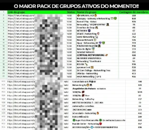 Pack Com +1.000 Grupos De Networking - Others