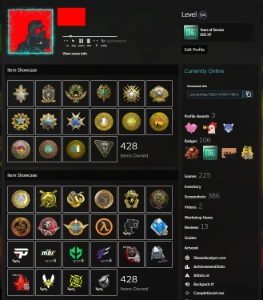 Steam Csgo Cs 2 - Todas As Medalhas De Serviços E Muito Mais - Counter Strike