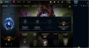 Conta de LoL - 357skins lvl 263