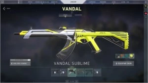 Conta Valorant + Skins e 21 mil de creditos! - Outros