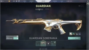 Conta Valorant + Skins e 21 mil de creditos! - Outros