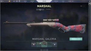 Conta Valorant + Skins e 21 mil de creditos! - Outros