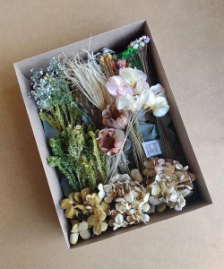 Caixa com flores e folhagens desidratadas (16 especies) - Artesanato e Personalizados