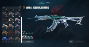 Conta Valorant 4K Gasto