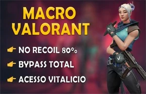 MACRO VALORANT - NO RECOIL - TODAS AS ARMAS