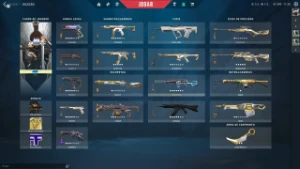 Conta Valorant + De 3000 Reais Gastos
