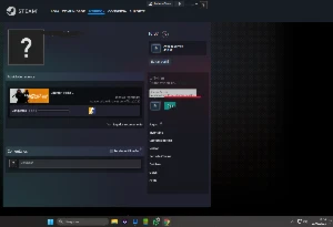 Conta Steam 20 anos + Emblema 9 Anos + 8 Jogos (2004)