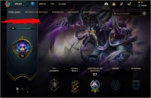 Conta LOL lvl 30 upada na mão - League of Legends