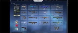 Conta de Valorant com 16 Skins da loja!