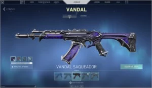 Conta valorant com varias skins !!