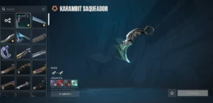 Conta de Valorant com mais de 1600 reais gastos