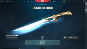 Conta Com Varias Skins E Faca (Todos Os Agentes) - Valorant