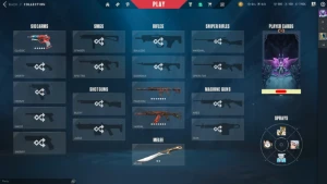 Conta Com Varias Skins E Faca (Todos Os Agentes) - Valorant