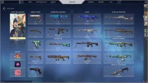 Conta de Valorant (5 facas, 2 skins de Vandal...)