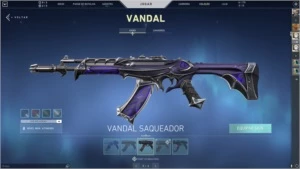 Conta de Valorant (5 facas, 2 skins de Vandal...)