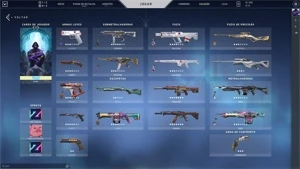 BETA Conta Diamante 1 com TODAS as SKINS EXCLUSIVAS - Valorant