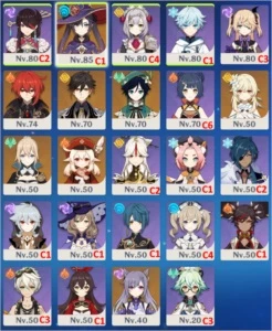 GENSHIN IMPACT / AR 55 / 11 SSR (TOTAL) + Todos os SR.