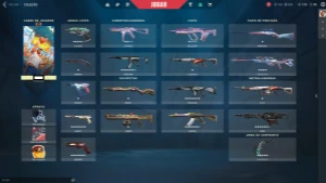 Conta Valorant Muitas Skins