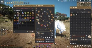 Black Desert soberana DUO