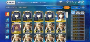 Conta Fate/Go Jp - Aoko Np6 + Alice Np4 - Outros