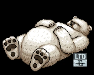 Ted o Urso lote 37 - Habbo