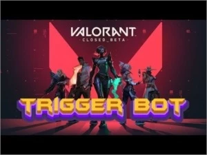 Triggerbot valorant LIFE TIME (PARA VIDA TODA)