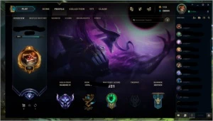 Conta League of Legends 330 SKINS Diamante LOL