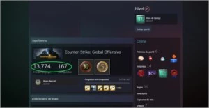 Steam 17 Anos CSGO C/ Medalhas de 5e10 Anos