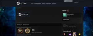 Steam 17 Anos CSGO C/ Medalhas de 5e10 Anos