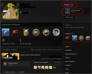 CONTA STEAM 7 ANOS [CS PRIME - AGUIA2 E TODAS AS INSIGNIAS] - Counter Strike