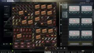 Conta de tarkov edição Standard com 55 milhões + itens - Escape from Tarkov