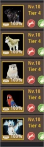 Wizard 62 e varios chars 60 GEAR Para começar Fada T4 POT V - Black Desert