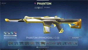 Conta valorant com muitas skins radiant