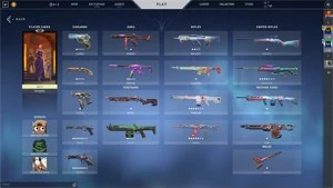 CONTA VALORANT - COM SKINS  RANK PRATA 1