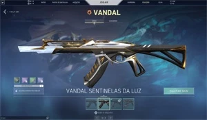 Conta Valorant  butterfly + saqueadora + dima 2