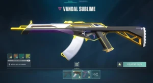 Conta valorant com Varias skins e conjunto completo.