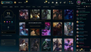 Conta Lol Com 73 Skins Variadas - League of Legends: Wild Rift LOL WR