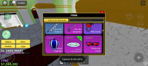 Melhor conta de blox fruit que vc verá - Roblox