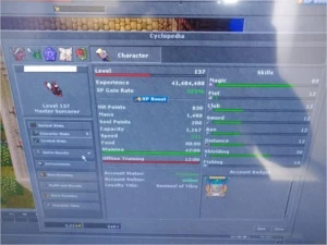 account tibia MS ML 89