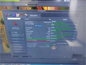 account tibia MS ML 89