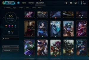 Conta League of Legends lvl 60 66 champs e 65 skins LOL