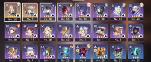 Seele - Jing Yuan + Cone - AR 39 - Outros
