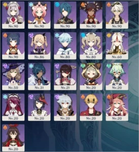 Genshin Impact AR 58 End game 15 char5* (Shogun C3)
