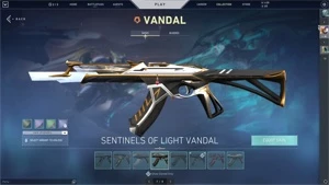Conta valorant Ascendente 800,00 gastos