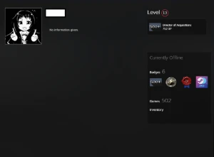 502 jogos, Nível 13 steam, Com infos de criação