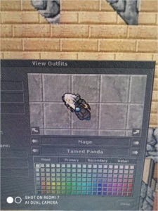 ELDER DRUID LVL 205 ML 78 DESCUBRA - Tibia