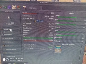 ELDER DRUID LVL 205 ML 78 DESCUBRA - Tibia