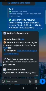 Bot Smm Para  [conteúdo removido] app 100% Automatico Via Api - Outros